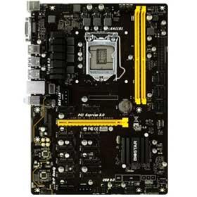 BIOSTAR TB250-BTC PRO Mainboard